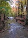 BT-flowing into Bridal Veil Falls.jpg